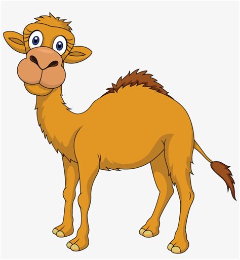 cartoon camel toe|Funny Camel Toe Cartoon PNG Clipart, Humorous Camel